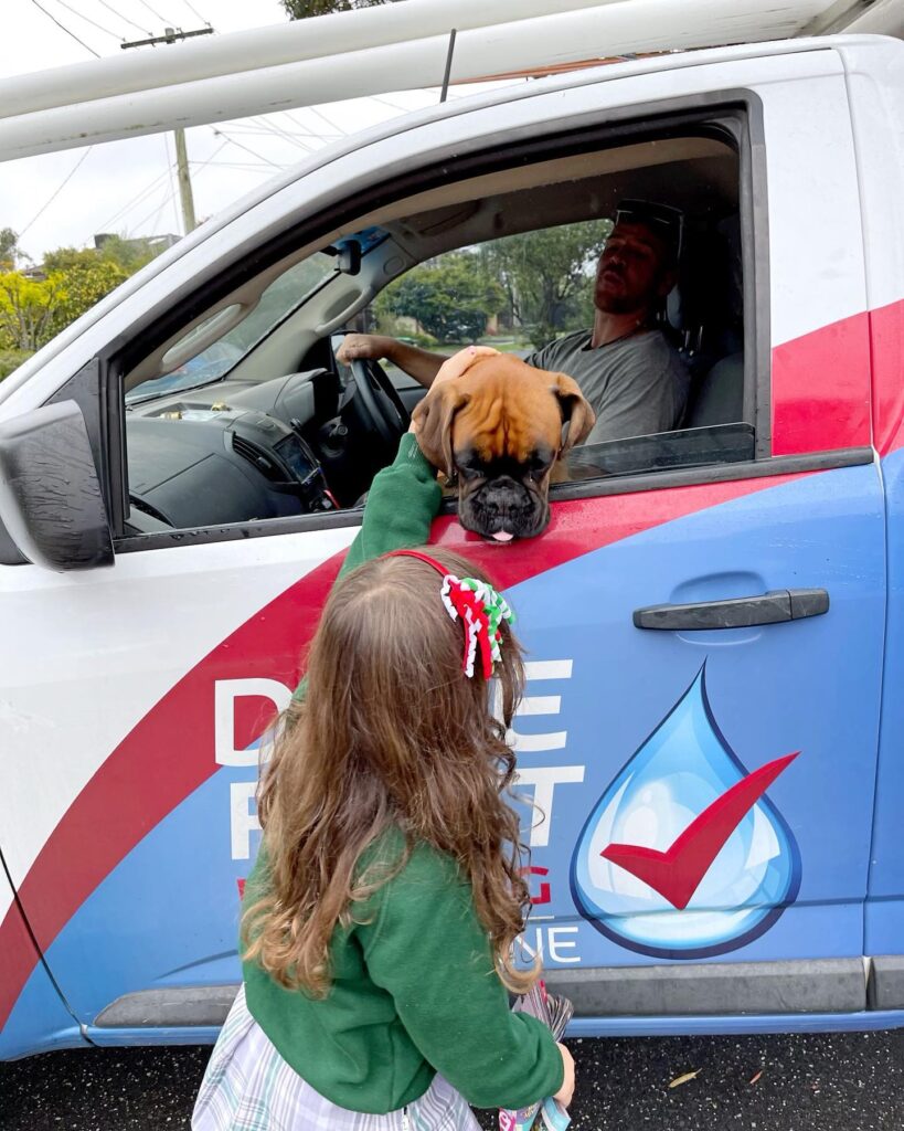 child giving attention to our dog through window of our company van